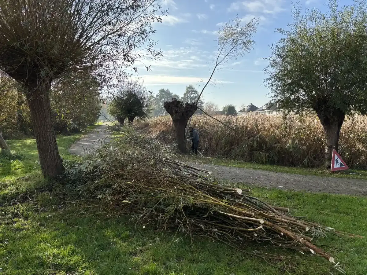 251108_helofytenfilter_05