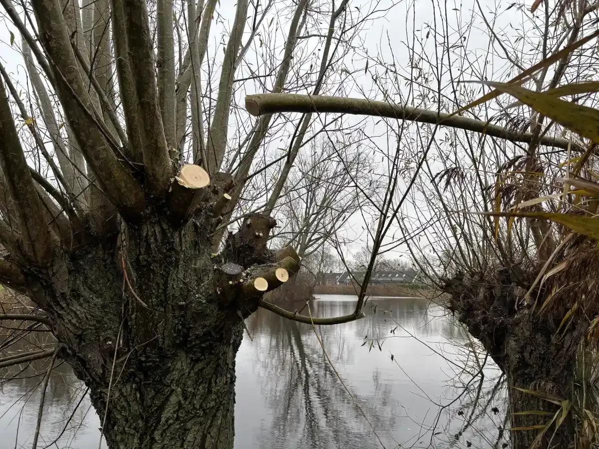 251206_fort_ad_drecht_01