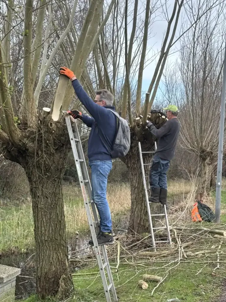 20260314_boterdijk_achter_de_eger_01