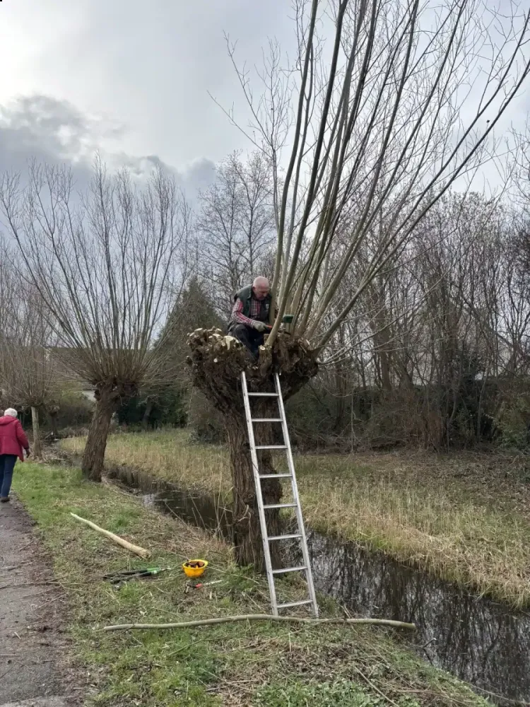20260314_boterdijk_achter_de_eger_03