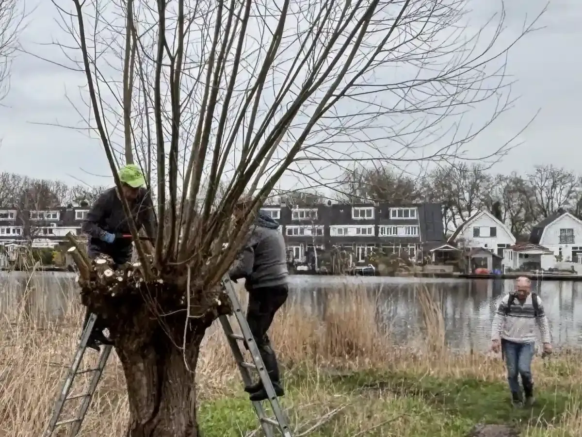 20260314_boterdijk_achter_de_eger_06