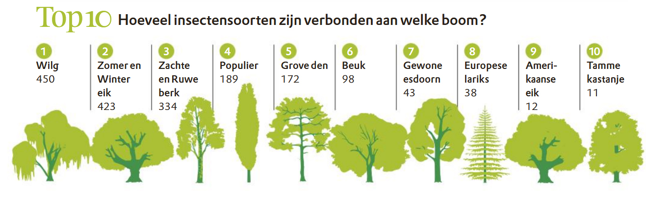 Aantallen insecten per boomsoort
